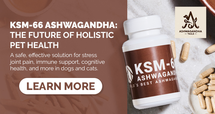 KSM-66 Ashwagandha - a game-changer for holistic pet health