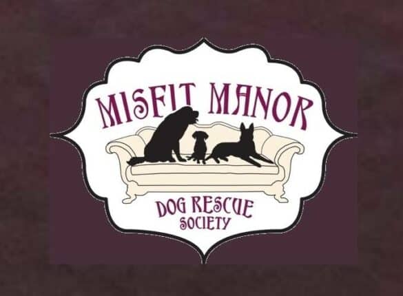 Misfit Manor Dog Rescue