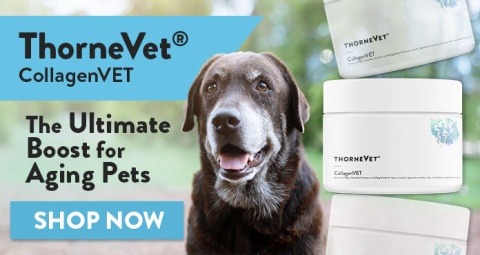 ThorneVet CollagenVET - the ultimate boost for aging pets