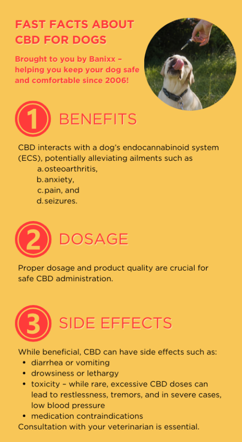 Fast facts about CBD for dogs courtesy of Banixx