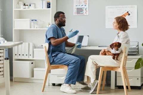 Veterinarian discussing prescriptions with pet parent