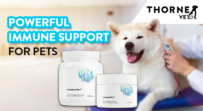 ThorneVet Immune Support Formula - powerful support for overall better health for dogs and cats