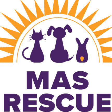 MAS Rescue