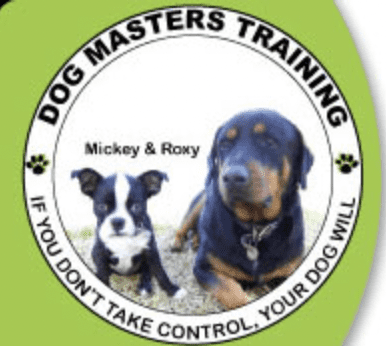 dog master's training