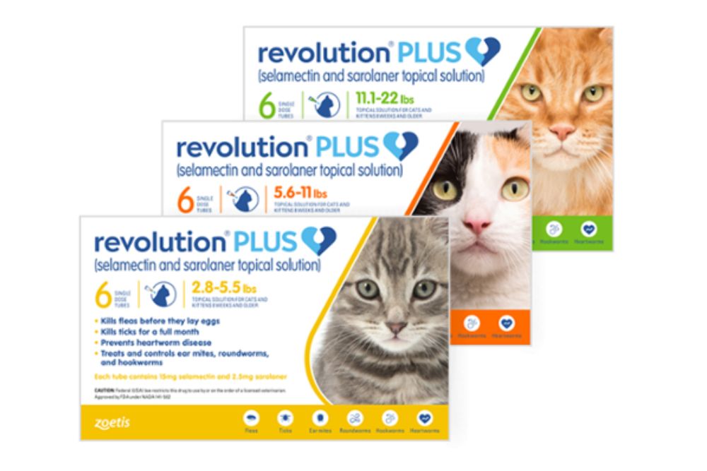Revolution Plus for cats
