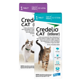 Credelio chewable cat flea and tick control medication