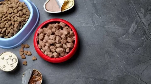 Company Tries Donating Dog Food Laced With Euthanasia Meds