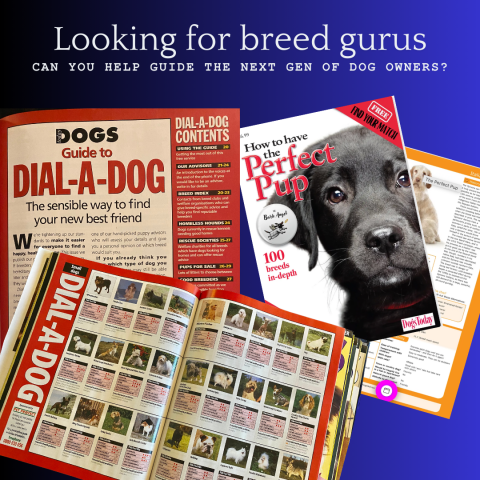 Could you be our breed guru?
