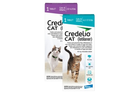 credelio for cats