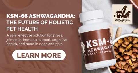 KSM-66 Ashwagandha is an excellent choice for pet supplement manufacturers because it is clinically proven to reduce stress and disease state and to increase calmness, cognition, immune function, and joint health in pets. It blends well with capsules, soft chews, powders, tinctures, treats, tablets, pellets, and various types of pet supplements.